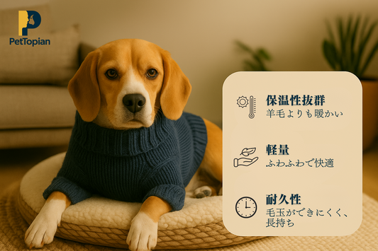アルパカウールの魅力