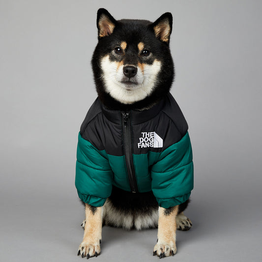 防風・防水 犬用冬用綿入りジャケット | Windproof Winter Jacket for Dogs