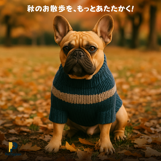秋とペットの暮らしを楽しもう