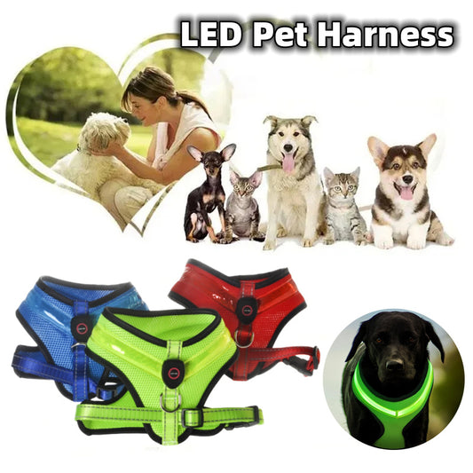 LEDライト付き安全ハーネス（犬用）– USB充電・夜間の散歩に最適