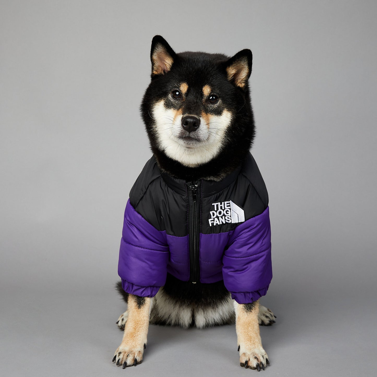 防風・防水 犬用冬用綿入りジャケット | Windproof Winter Jacket for Dogs