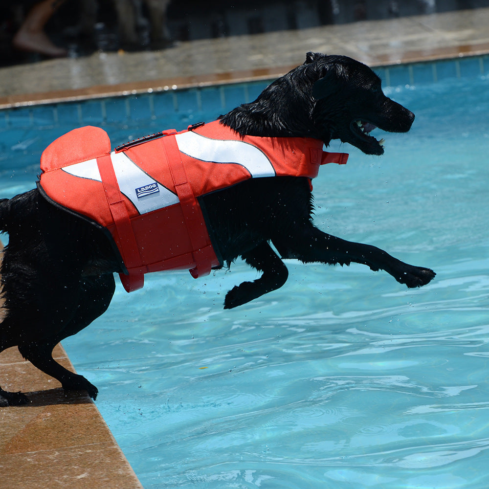 犬用ライフジャケット｜夏の水遊びに！マーメイド・サメデザイン