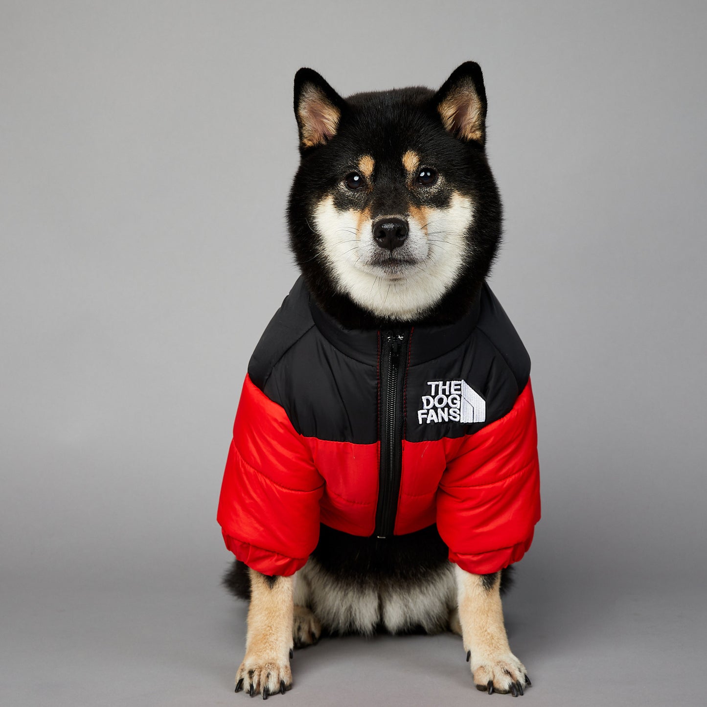 防風・防水 犬用冬用綿入りジャケット | Windproof Winter Jacket for Dogs