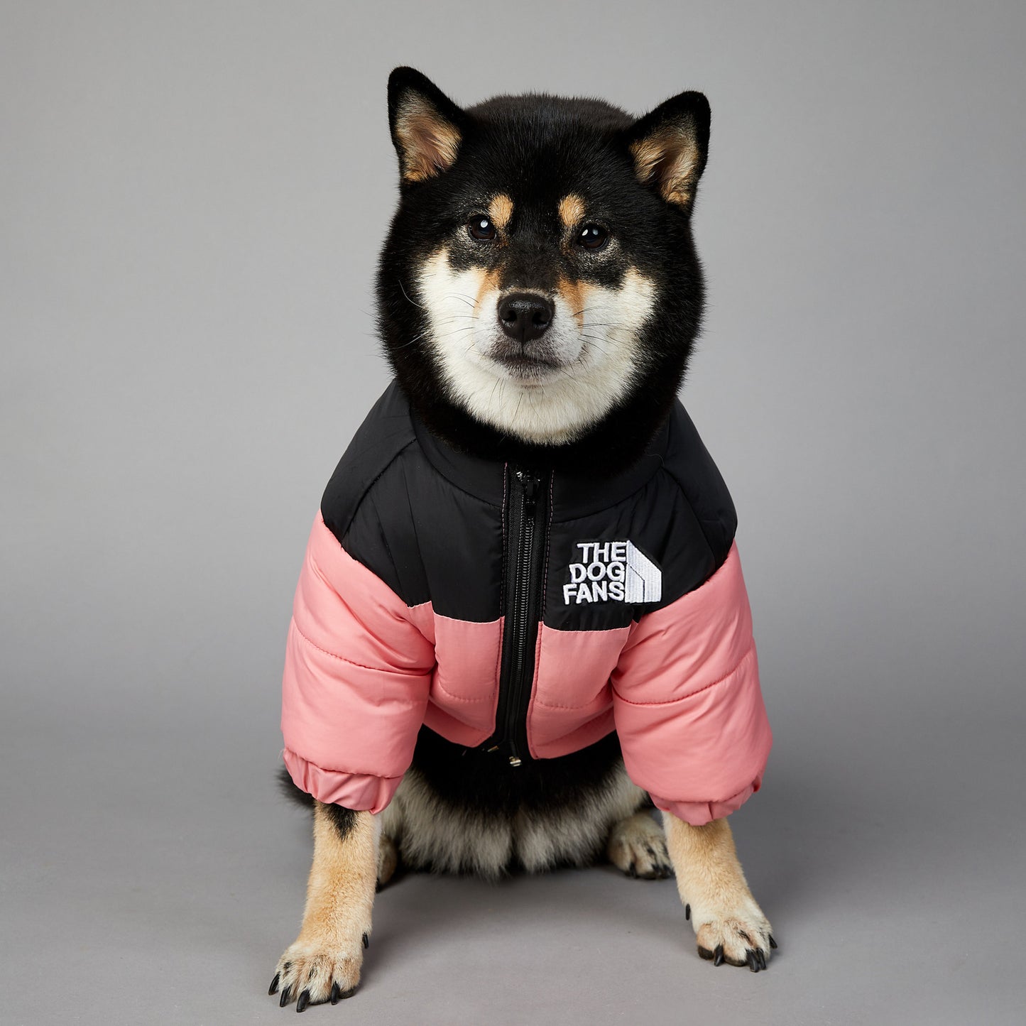 防風・防水 犬用冬用綿入りジャケット | Windproof Winter Jacket for Dogs