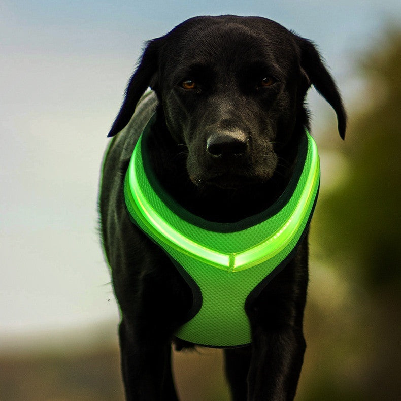 LEDライト付き安全ハーネス（犬用）– USB充電・夜間の散歩に最適