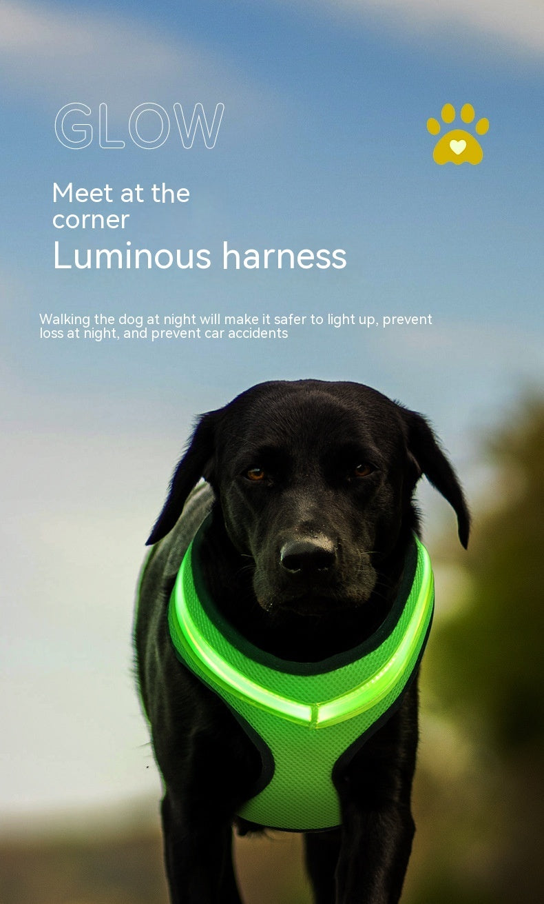 LEDライト付き安全ハーネス（犬用）– USB充電・夜間の散歩に最適